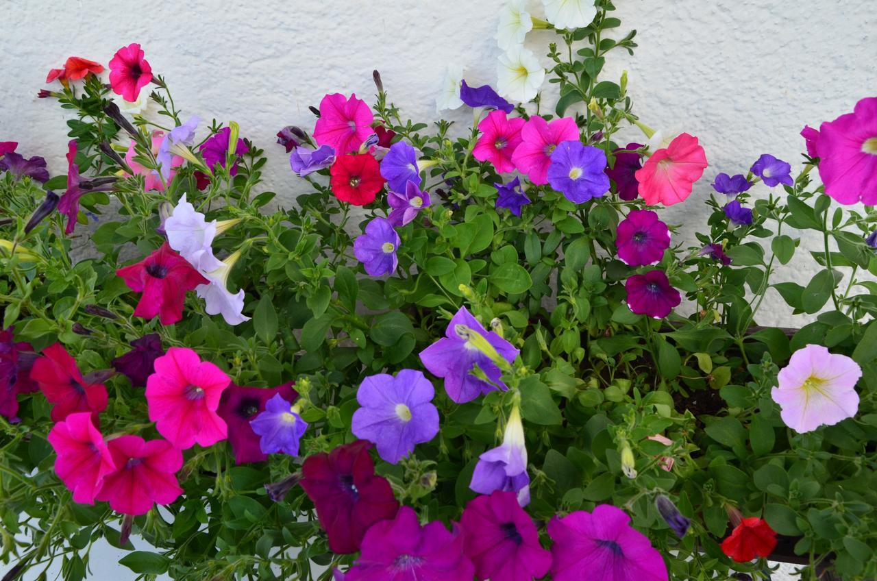 Ferienwohnung Garber Uderns Dış mekan fotoğraf